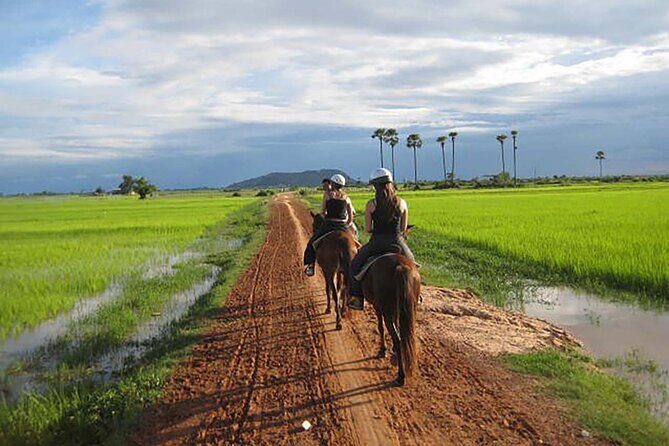 Siem Reap Happy Horse Riding Free Pick-up & Drop-off - The Golden Pagoda and Rice Fields Part (How to Look For It)