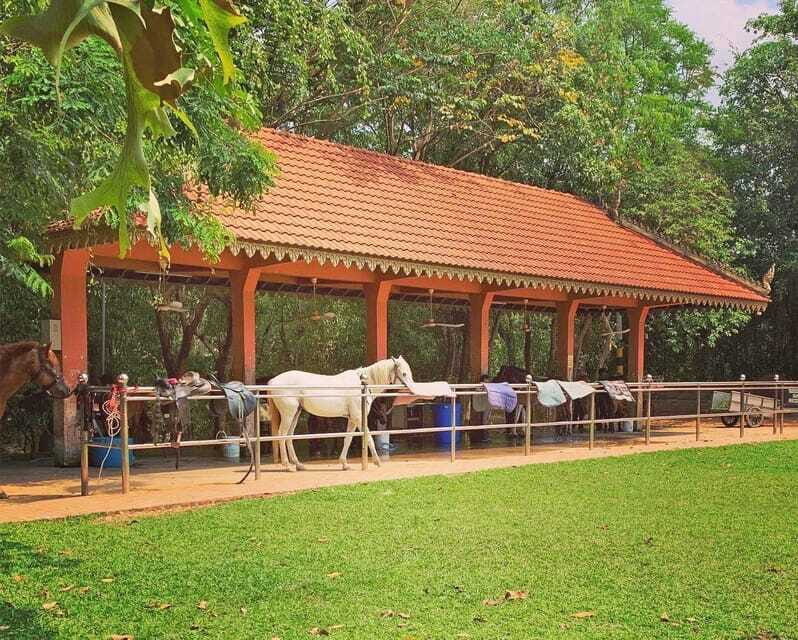 Siem Reap Happy Horse Riding Free Pick-up & Drop-off - Who This Horse Riding Experience Suits Best