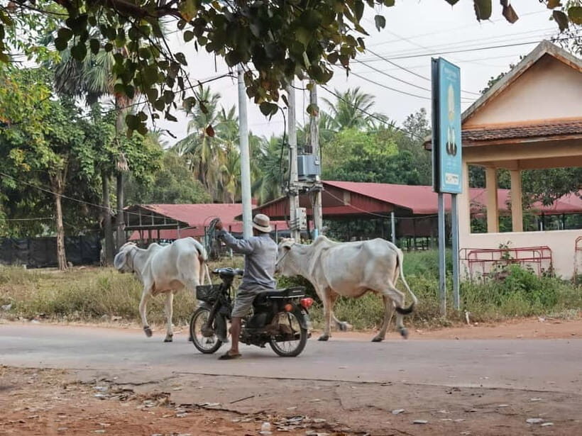 Siem Reap: Monk Blessings and Village Life Scooter Tour - What to Bring (So the Day Feels Easy)