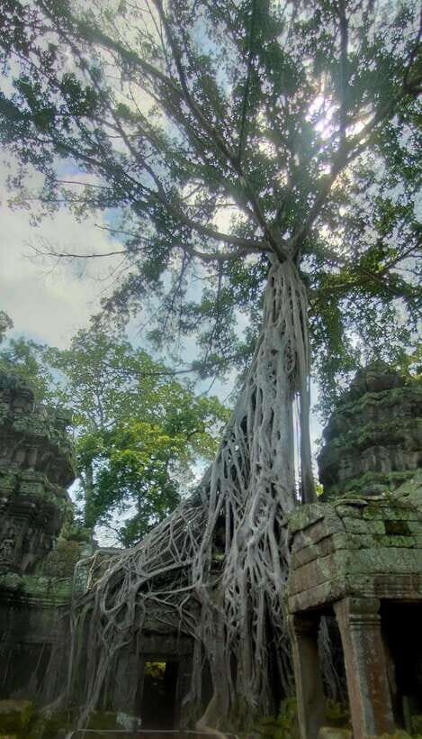 Siem Reap Private Tour: Angkor Wat Sunrise And Banteay Srei - Golden Sunrise Over Angkor Wat: More Than a Photo Moment