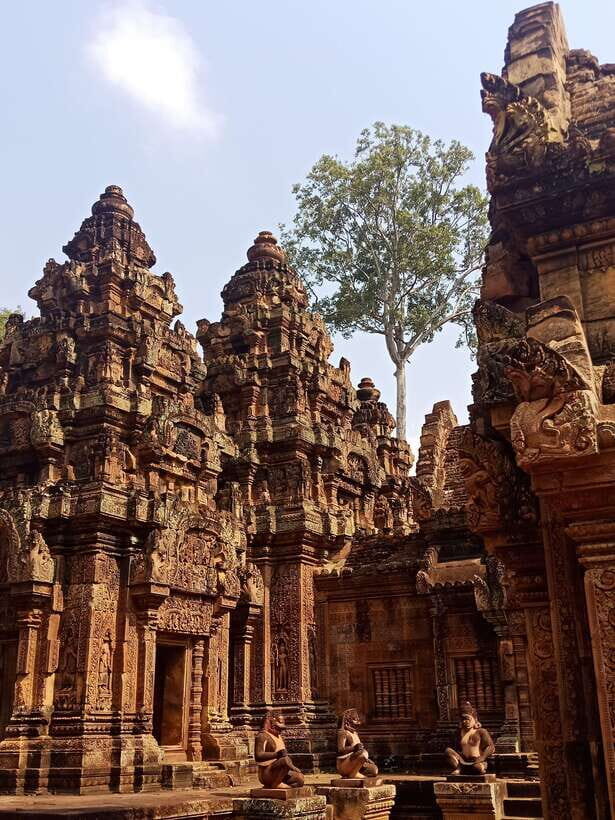 Siem Reap Private Tour: Angkor Wat Sunrise And Banteay Srei - Transfers, Vehicle Comfort, and How the Day Flows