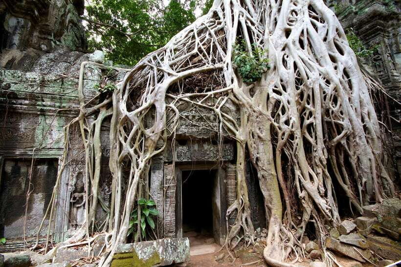 Siem Reap: Private Tour of Angkor Complex - Key things I’d pay attention to