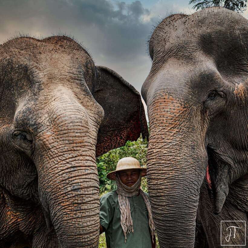 Siem Reap: Small Group Tour of Kulen Elephant Forest - How the half-day Kulen Elephant Forest schedule really feels