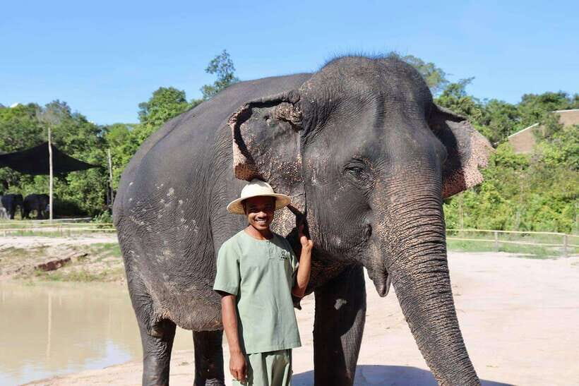 Siem Reap: Small Group Tour of Kulen Elephant Forest - Elephant time: handmade snacks and calm pond watching