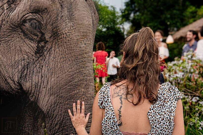 Siem Reap: Small Group Tour of Kulen Elephant Forest - Base camp Khmer meal or snack: the reset before the ride back