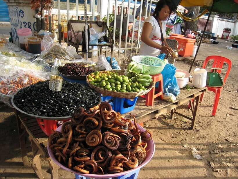 Siem Reap Street Foods Tour by Tuk Tuk with Personal Guide - What you’re likely to taste (and how to handle the adventurous stuff)