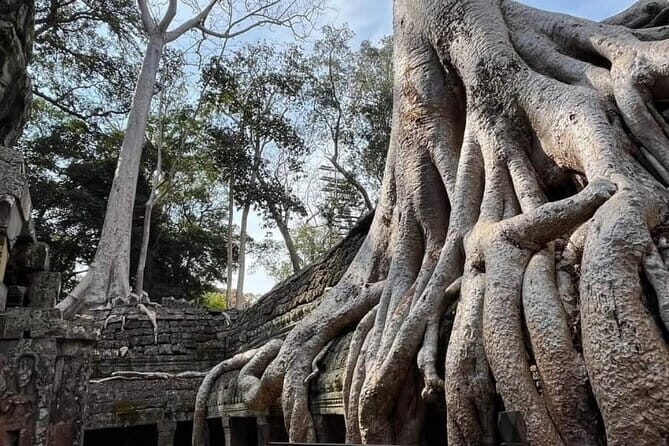 Siem Reap Temple Tuktuk Tour: Explore Angkor Wat and beyond. - Stop 2: Bayon Temple in Angkor Thom—those faces take time
