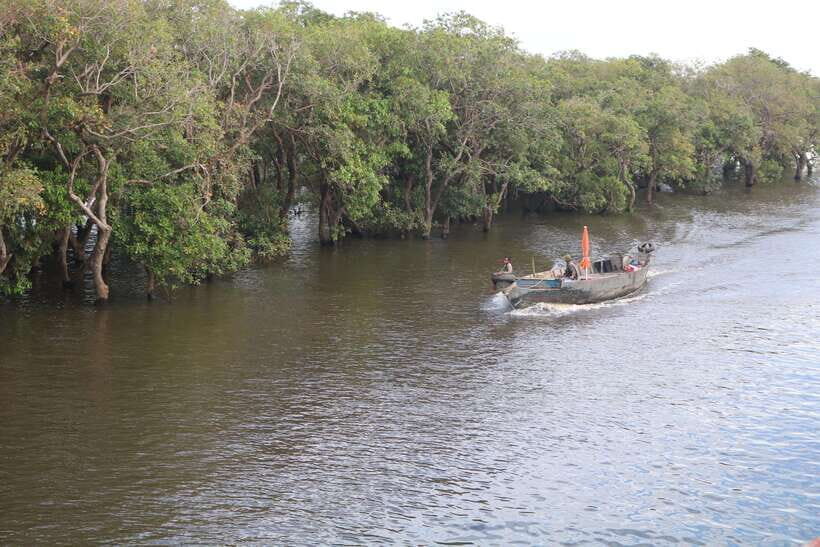 Siem Reap: Tonle Sap Lake - Fishing Village & Flooded Forest - Back Roads Home: Seasonal Farming, Fish Processing, and Duck Life
