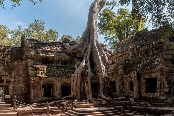 Siem Reap’s signature temples discovered - Angkor Wat first: carvings, layout, and that reflective calm