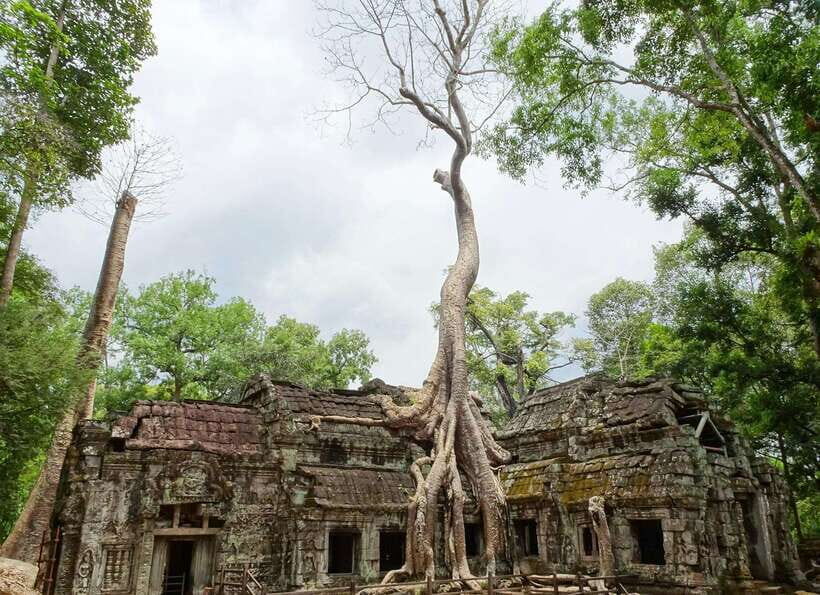 SiemReap: Private Angkor Wat Tour in English or German guide - Getting around and walking level: steps happen
