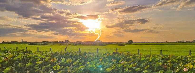 SiemReap Sunset Dinner Riding an Ox-Cart at Rice Paddy Field - Who should book this Siem Reap sunset ox-cart dinner (and who shouldn’t)