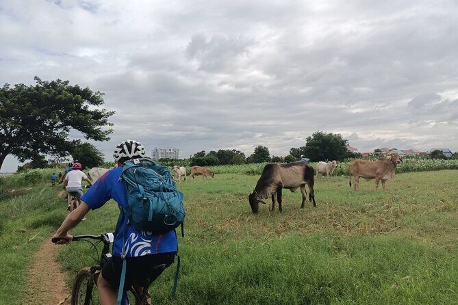 Silk Island at Twilight Cycle Encounter - From Phnom Penh to Areyksat Ferry Dock: a smooth start at 2pm