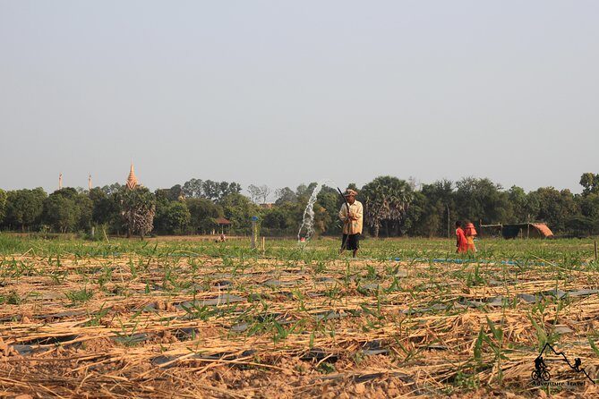 Silk Island & countryside of Phnom Penh by Tuk Tuk - Phsar Areyksat and the wet market stop: smells, colors, and food reality