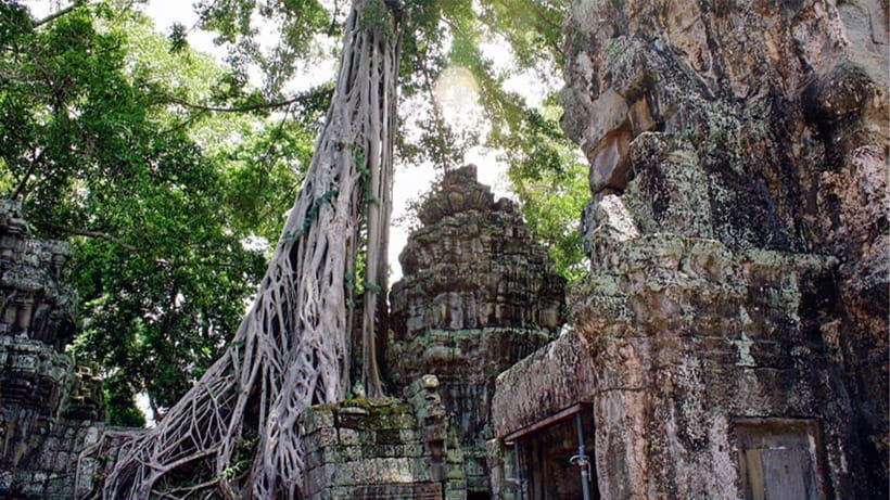 Small-Group Explore Angkor Wat Sunrise Tour with Guide - Sunrise at Angkor Wat: 4:20 am, guided, and actually worth it
