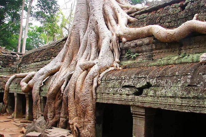 Special Three Days Angkor Tour - Angkor Wat to Banteay Srei: how the 3-day loop works