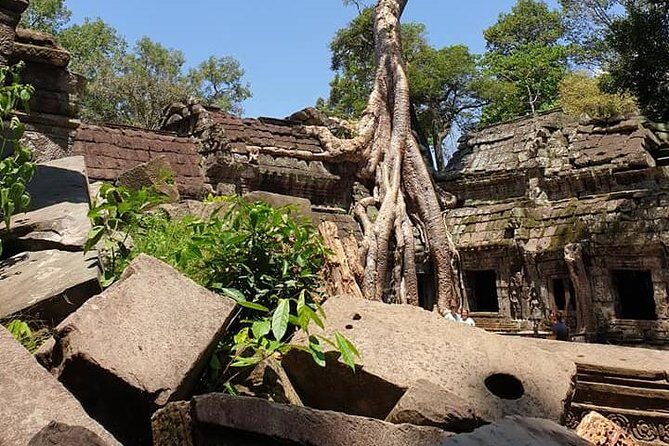 Special Three Days Angkor Tour - The licensed English guide factor: why Dara-style touring feels easy