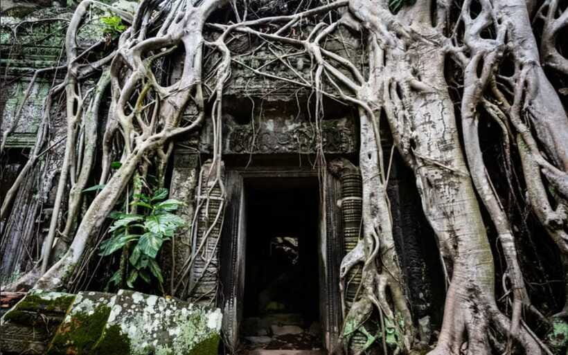 Sunrise at Angkor Wat and Small Tour with Tours Guide - Cost and Value: Why the $6 Price Isn’t the Final Number
