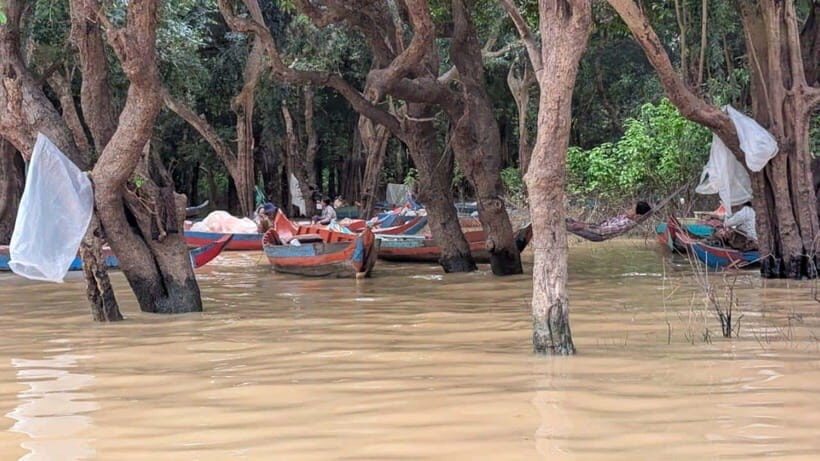 Sunset Kompong Pluk Floating Village - Seasonal flooded forest: what changes with the water level