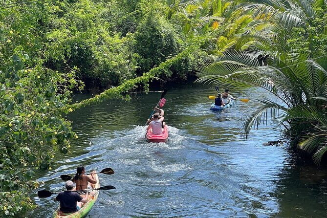Sunset Scenic Kayaking and Swimming Activity - Quick Hits: What Makes This Kayak-and-Swim Worth It