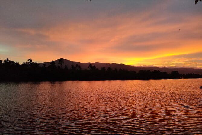 Sunset Scenic Kayaking and Swimming Activity - Pickup, Mobile Tickets, and the Meeting Point That You Should Double-Check