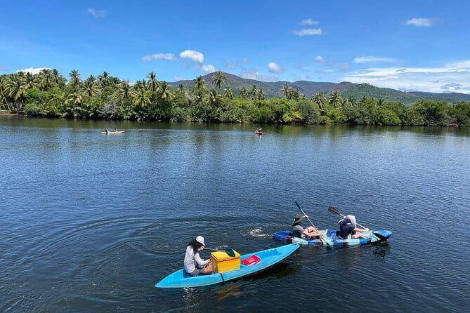 Sunset Scenic Kayaking and Swimming Activity - Enter the Green Cathedral: A River Loop With a Living Roof