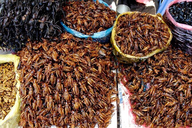The Journey Phnom Penh to/from Siem Reap: A Memorable Tour - Skun Spider Sanctuary and the Insect Food Market: A Food Stop You’ll Remember