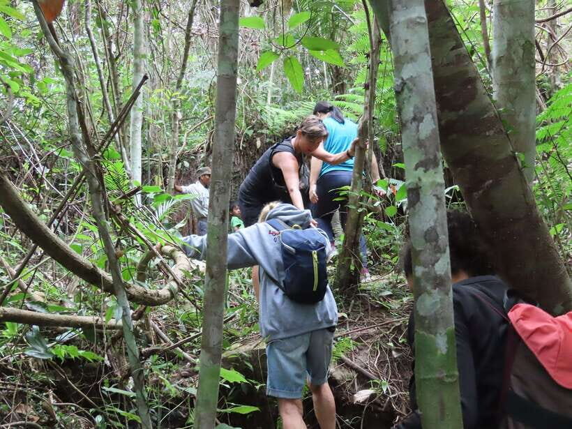 Trekking Tour at Phnom Kulen National Park from Siem Reap - Kulen Waterfall: when to plan your swim and photos