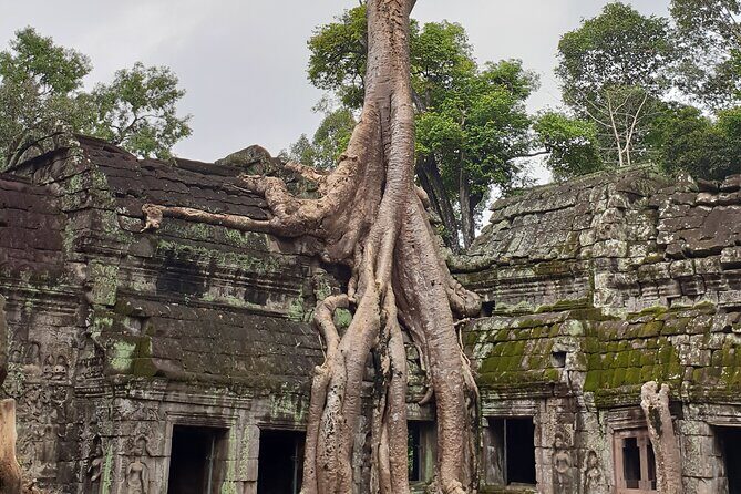 Two Days Angkor Tour - What to Bring and How to Stay Comfortable