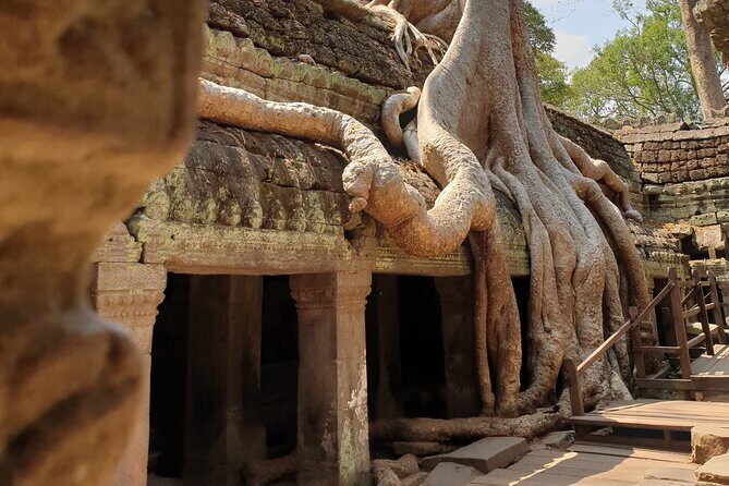 Two Days Angkor Tour - Who This Tour Fits Best