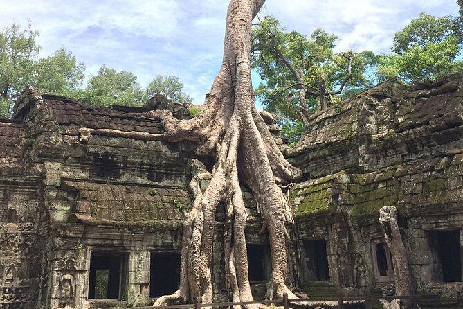 Unveil The Magic Of Angkor Wat Sunset In A Day Personalized Tours - Who this tour fits best (and who should skip it)