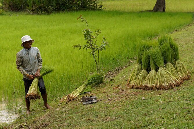 Village Life Tour from Siem Reap - Basket Weaving and Rice Wine: Small Skills, Big Meaning