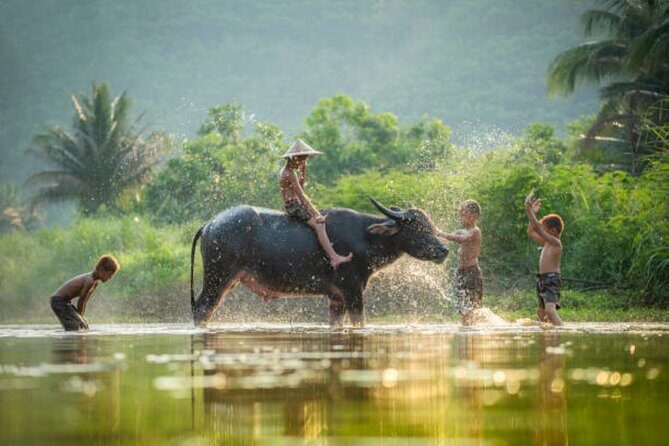Village Life Tour from Siem Reap - Sustainable Development in Real Life: Wells, Jobs, and Stability